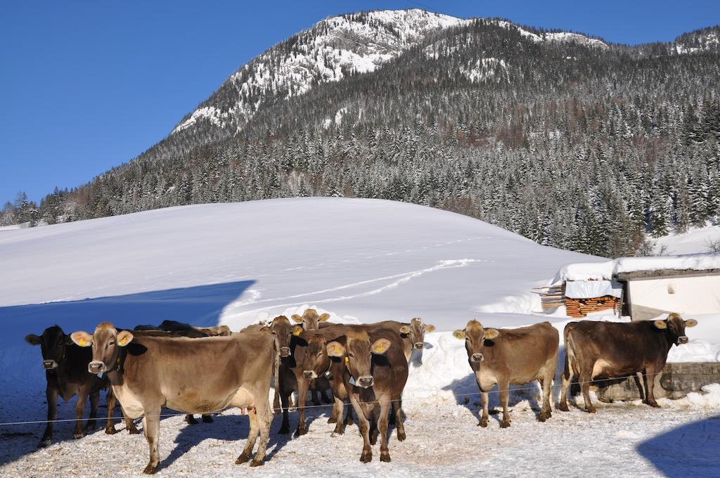 Bauernhof Haim-Schnepfleitner Pichl bei Aussee Exterior foto