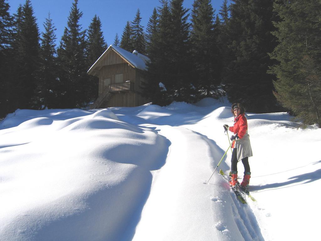 Bauernhof Haim-Schnepfleitner Pichl bei Aussee Exterior foto