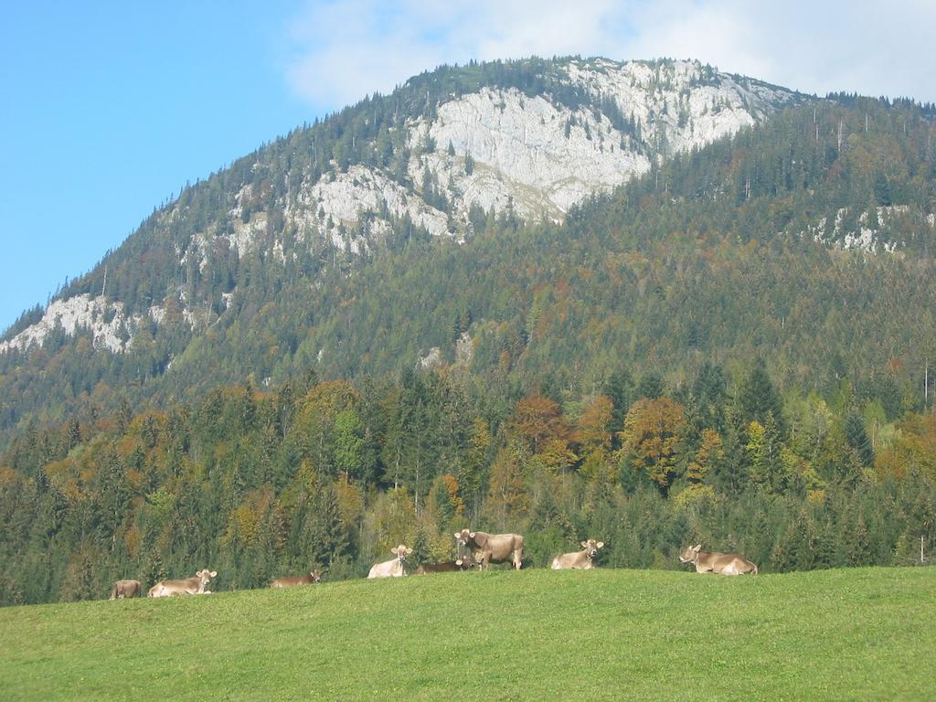 Bauernhof Haim-Schnepfleitner Pichl bei Aussee Exterior foto